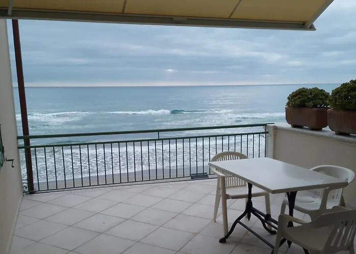 Eden Alaxi 阿拉西奥